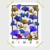Ginko
