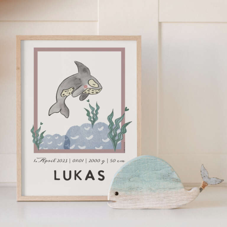 Orca – Bild 3
