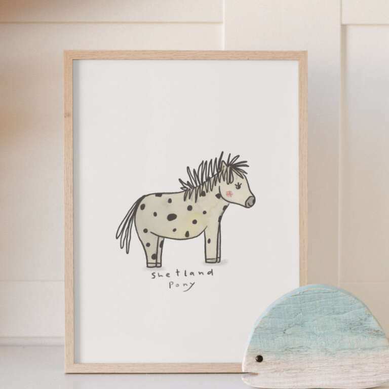 Shetland Pony – Bild 2