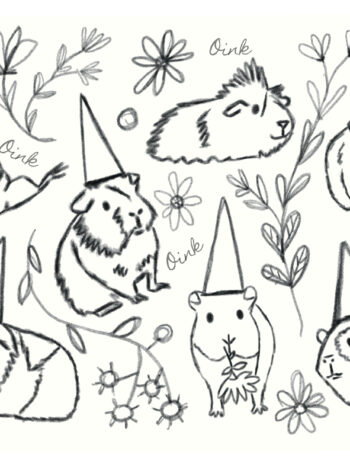 Ausmalbild Meerschwein